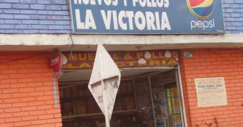 HUEVOS Y POLLOS LA VICTORIA HUEVOS Y POLLOS LA VICTORIA